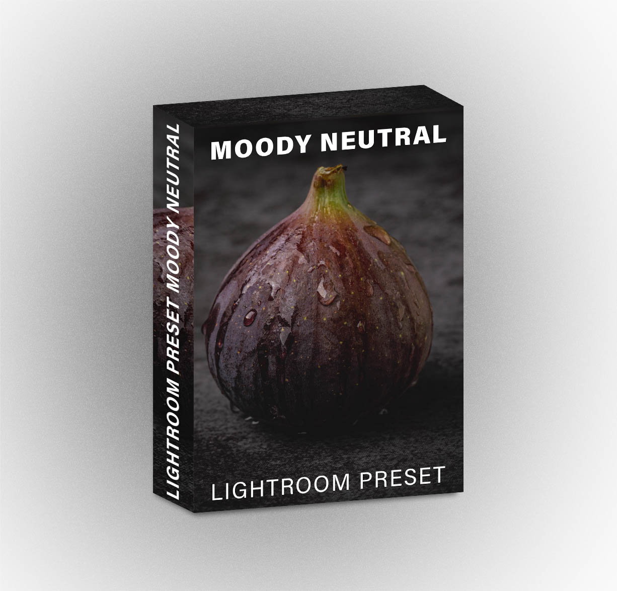 Lightroom Preset Moody Neutral